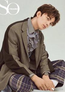 2017男明星网红,2017年度男明星网红风云榜