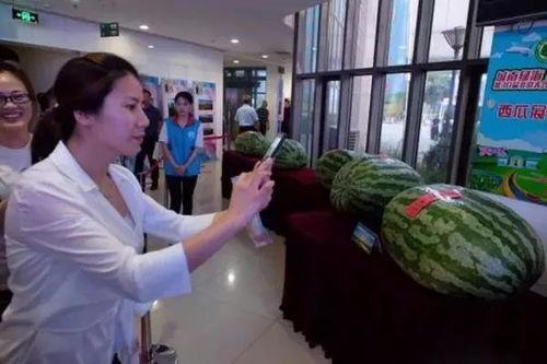 最新容城吃瓜热门事件新闻,最新吃瓜热门事件，真相揭秘！