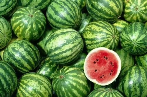 吃瓜热门资源在线,带你领略网络娱乐新风尚