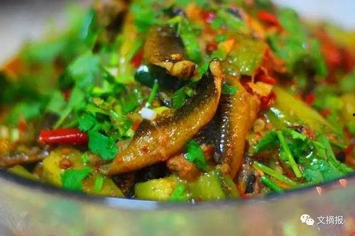 黄鳝能和黑瓜一起吃吗,探究两者相容性及食用建议