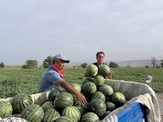 朝阳区热门大瓜,揭秘热门大瓜背后的真相