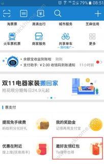 网传热门瓜支付宝,揭秘支付巨头背后的故事
