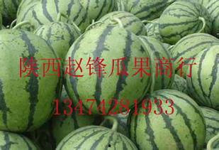 哈密瓜批发今日价格,“今日哈密瓜批发价格行情解析”