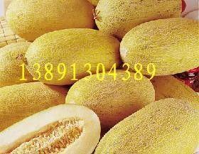 哈密瓜批发今日价格,“今日哈密瓜批发价格行情解析”