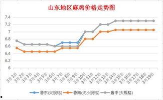 今日鸡瓜最新价格走势,今日最新走势解析