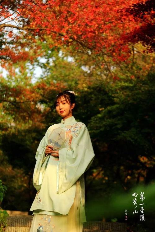 南京有哪些明星网红,南京明星网红风采掠影