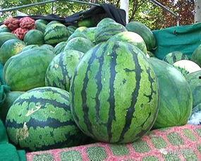 如何判断吃瓜爆料的真实性