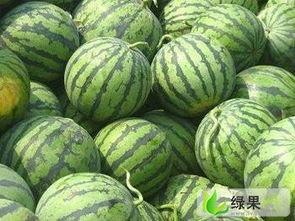 今日兰州蕃瓜价格多少,市场行情一览”