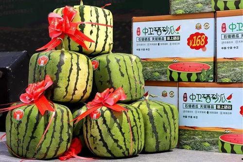 中卫硒砂瓜今日价,中卫硒砂瓜今日价格行情速览