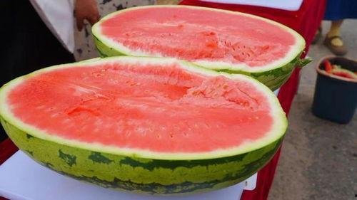 中卫硒砂瓜今日价,中卫硒砂瓜今日价格行情速览