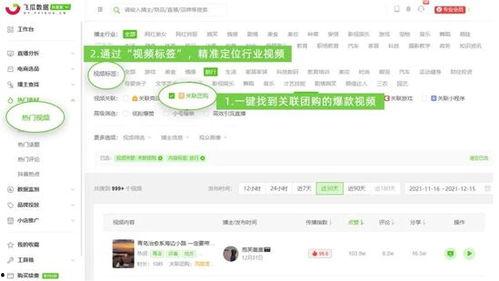 飞瓜数据热门词,洞察行业趋势，引领潮流风向标