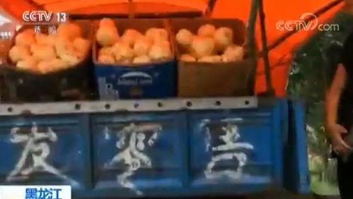 吃瓜大白爆料全过程在线观看,揭秘幕后真相