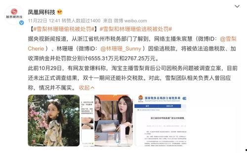 明星网红偷税图片大全,图片曝光引发社会关注