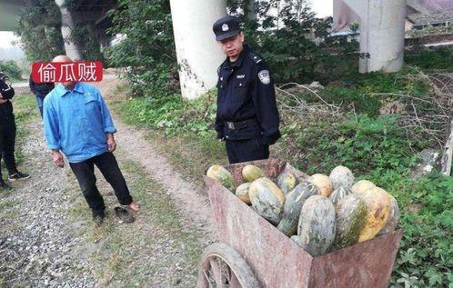 江安近期热门吃瓜事件视频,揭秘近期热门事件幕后真相