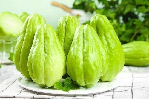 今日陕西佛手瓜价格,市场波动下的新鲜动态”