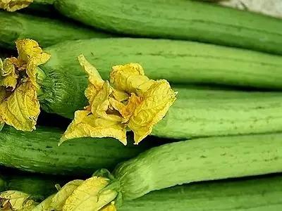 最近热门大瓜,最新热门大瓜揭秘