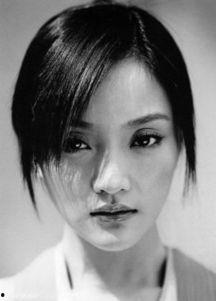 彩蛋撞脸明星网红,揭秘网络红人的神秘面纱