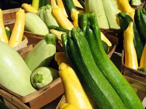 如何吃网上热门瓜,教你轻松吃遍网络热点