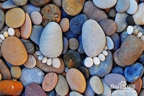 光霞石头瓜今日行情,涨跌波动，市场动态一览