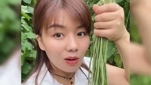 菏泽的明星网红有谁,璀璨星光下的菏泽风采