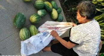 汶上近期热门吃瓜事件,揭秘近期热议的吃瓜事件真相