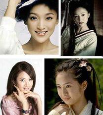 女明星网红的区别,身份差异与魅力碰撞