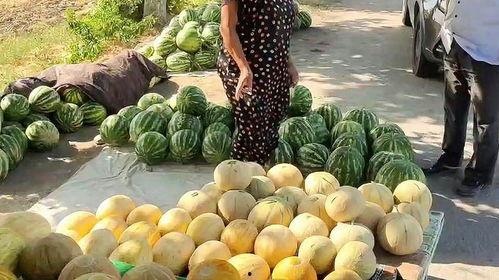 金乡热门吃瓜,揭秘当地热门美食背后的故事