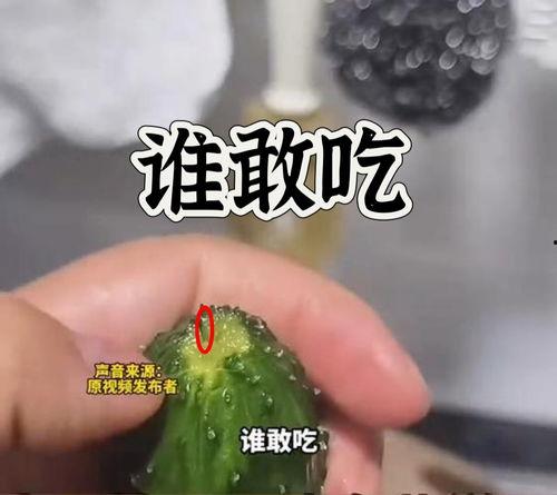 吃瓜爆料打架是哪一集,揭秘打架事件背后的真相，这一集剧情令人震惊！