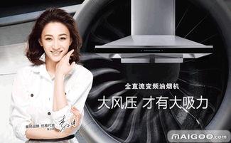 明星网红代言食品品牌,食品品牌闪耀新篇章