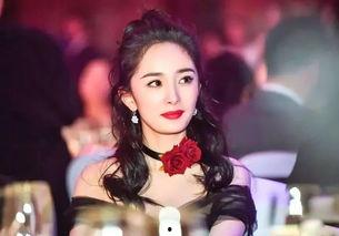 明星网红演艺视频素材,明星网红演艺风采集锦