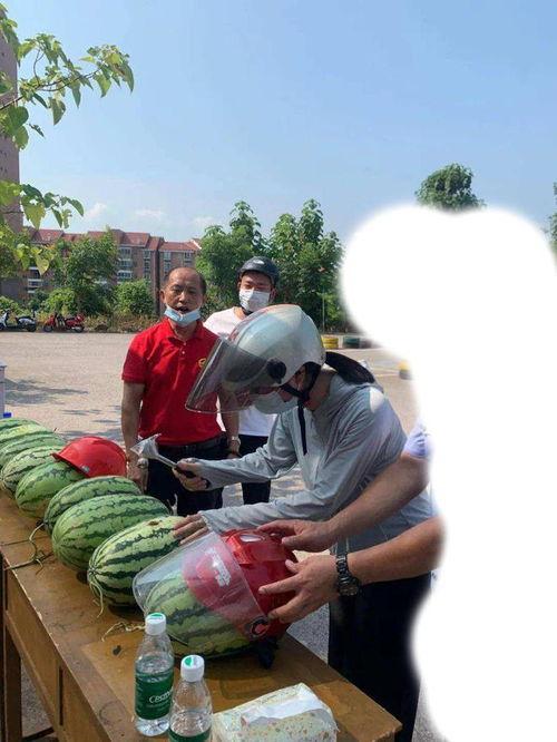 海口今日吃瓜事件最新,一场网络热议背后的真相揭秘