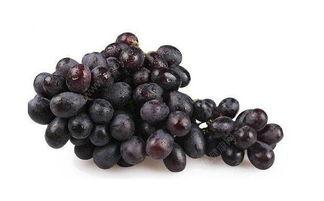 紫瓜里面的黑籽可以吃吗,揭秘可食用之谜