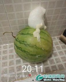 泡泡吃瓜黑料正能量,揭秘网络舆论的多元面貌