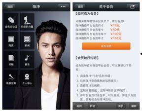 明星网红微信名,个性与魅力的完美融合”