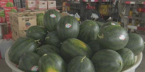 近期甘肃热门吃瓜事件,揭秘近期热门吃瓜事件背后的真相