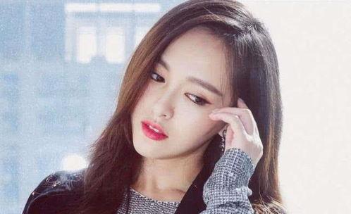 湖州有哪些明星网红,湖州明星网红风采掠影