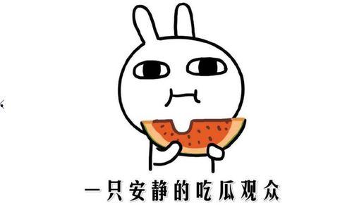 热门事件吃瓜网站,吃瓜群众视角下的热点追踪