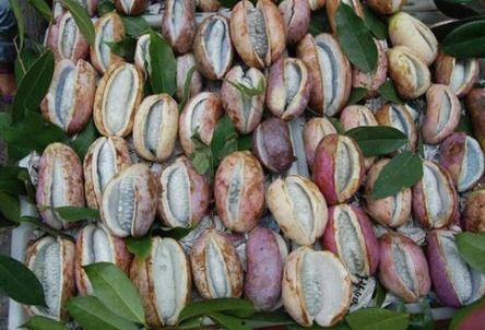 八月瓜热门歌曲在线听,旋律动人，情感共鸣