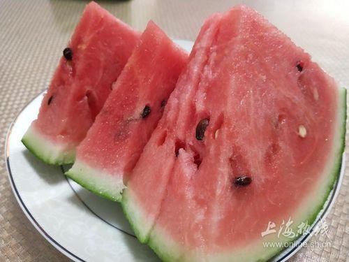 最新吃瓜热门上海,揭秘都市生活背后的惊人真相