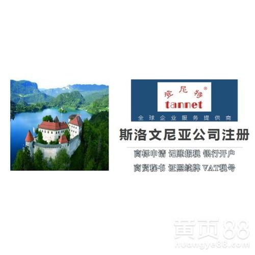 深圳洪大厨明星网红,网红厨神引领美食潮流