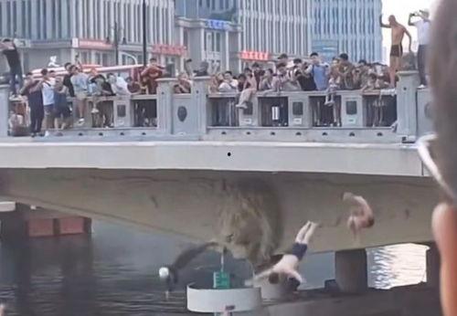 天津卫跳水明星网红,网红明星的跳水传奇