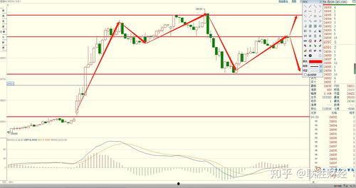 今日石头瓜价格走势分析,今日市场趋势洞察