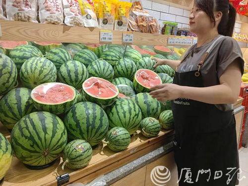 今日蕃瓜价格最新行情,价格波动解析与市场趋势洞察