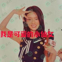 明星网红演唱合集大全,明星网红演唱合集大全精彩回顾