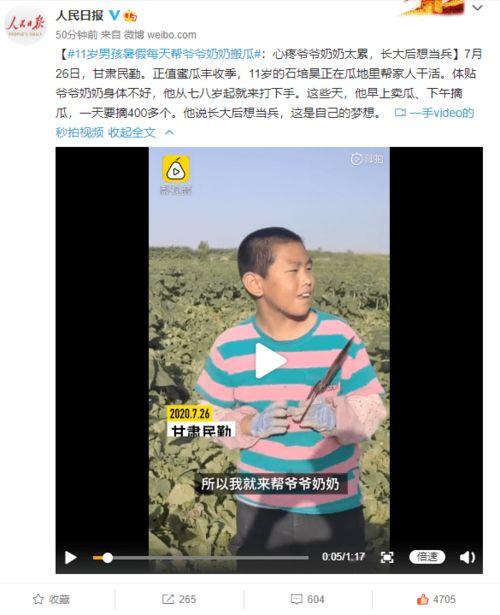 民勤蜜瓜热门视频,甘甜如蜜，视频带你领略瓜乡魅力