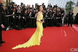 红地毯明星网红图片,红地毯明星网红风采瞬间