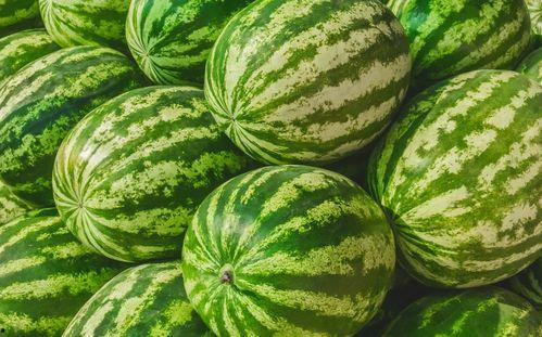 热门大瓜在线吃瓜免费观看,畅享吃瓜盛宴！