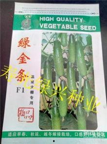 今日旱瓜价格行情,涨跌波动，市场动态一览