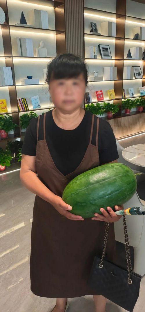 海宁今日是否有大瓜,揭秘惊人事件