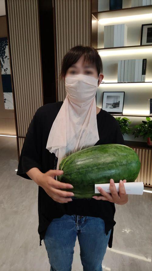 海宁今日是否有大瓜,揭秘惊人事件